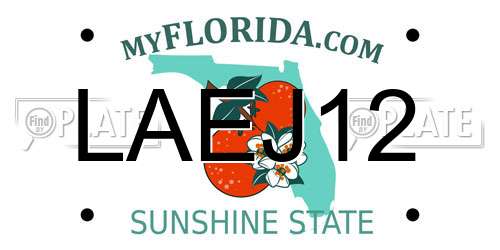 LAEJ12 Florida License Plate