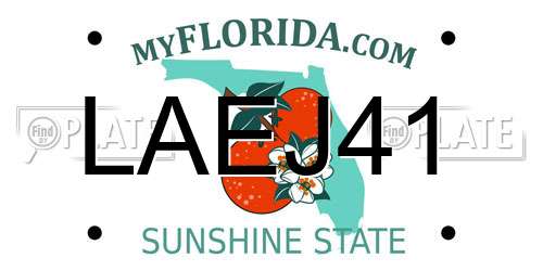 LAEJ41 Florida License Plate