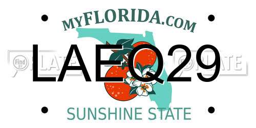LAEQ29 Florida License Plate
