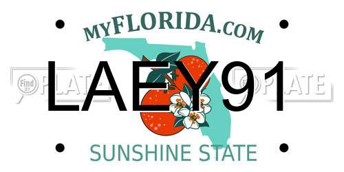 LAEY91 Florida License Plate