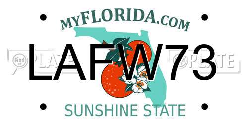LAFW73 Florida License Plate