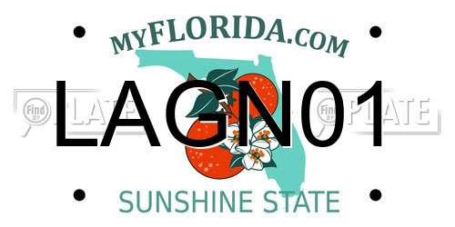 LAGN01 Florida License Plate