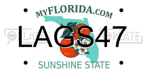 LAGS47 Florida License Plate