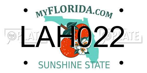 LAH022 Florida License Plate