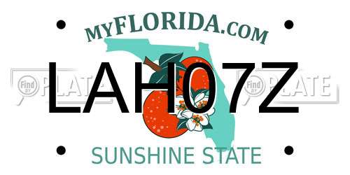 LAH07Z Florida License Plate