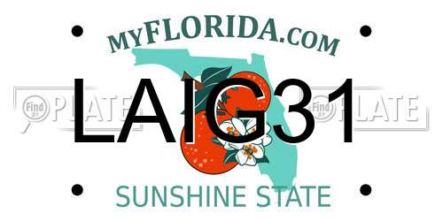 LAIG31 Florida License Plate