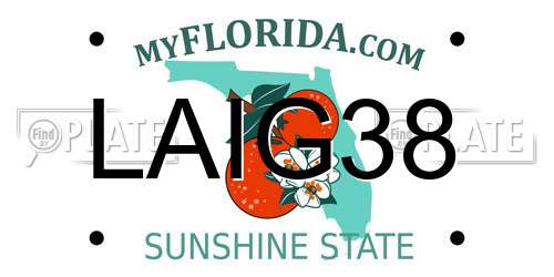 LAIG38 Florida License Plate
