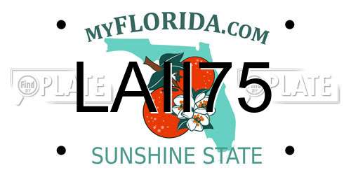 LAII75 Florida License Plate