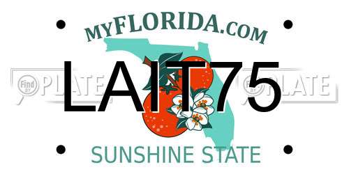 LAIT75 Florida License Plate