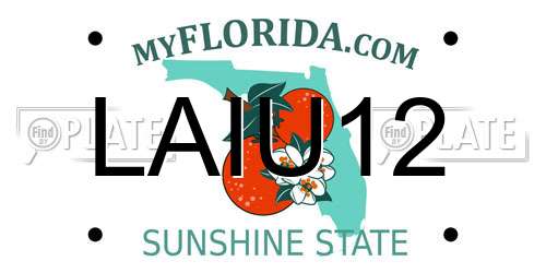 LAIU12 Florida License Plate