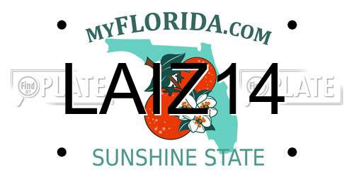 LAIZ14 Florida License Plate