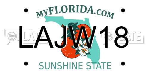 LAJW18 Florida License Plate