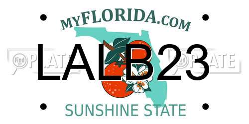 LALB23 Florida License Plate