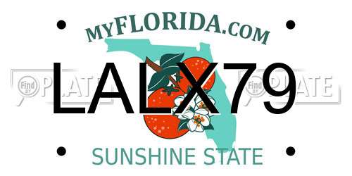 LALX79 Florida License Plate