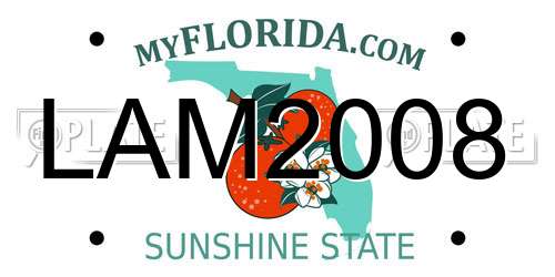 LAM2008 Florida License Plate