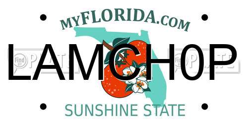 LAMCH0P Florida License Plate