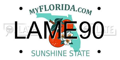 LAME90 Florida License Plate