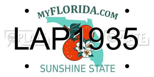 LAP1935 Florida License Plate