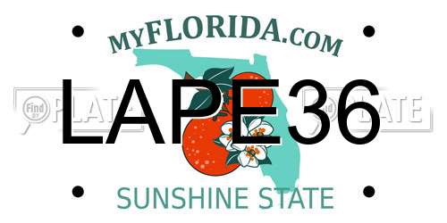 LAPE36 Florida License Plate