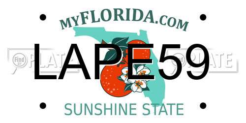 LAPE59 Florida License Plate