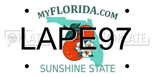 LAPE97 Florida License Plate