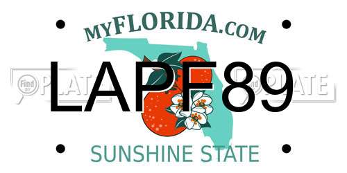 LAPF89 Florida License Plate