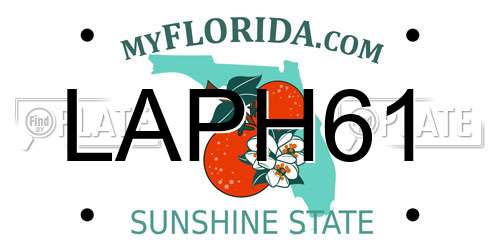 LAPH61 Florida License Plate
