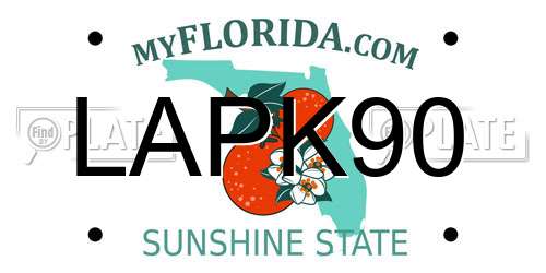 LAPK90 Florida License Plate