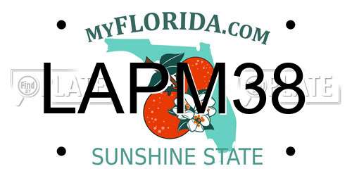 LAPM38 Florida License Plate