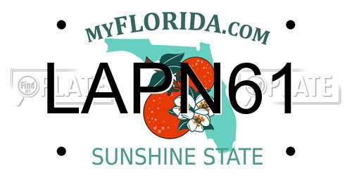 LAPN61 Florida License Plate