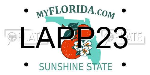 LAPP23 Florida License Plate