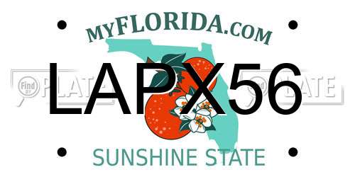 LAPX56 Florida License Plate