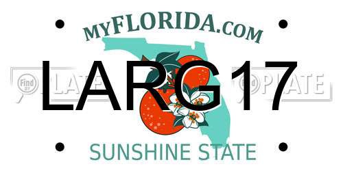 LARG17 Florida License Plate