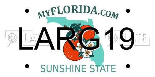 LARG19 Florida License Plate