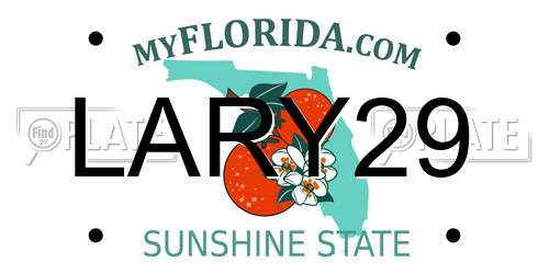 LARY29 Florida License Plate