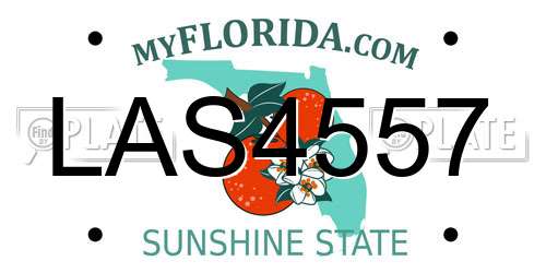 LAS4557 Florida License Plate