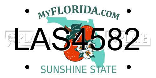 LAS4582 Florida License Plate