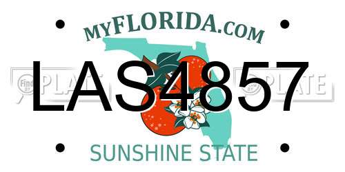 LAS4857 Florida License Plate