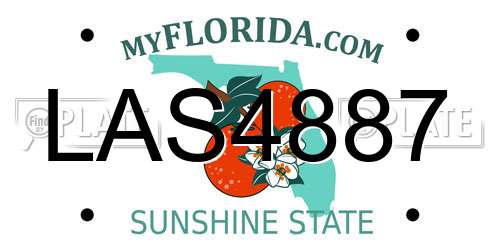 LAS4887 Florida License Plate