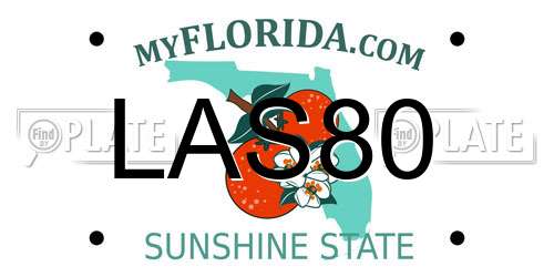 LAS80 Florida License Plate