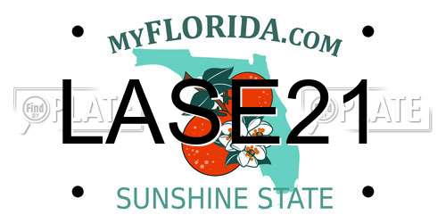 LASE21 Florida License Plate