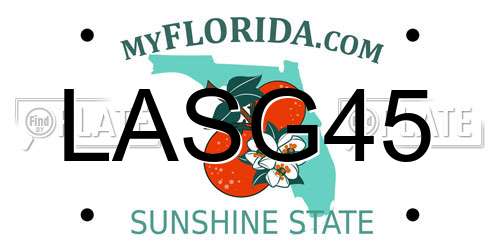 LASG45 Florida License Plate