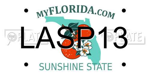 LASP13 Florida License Plate