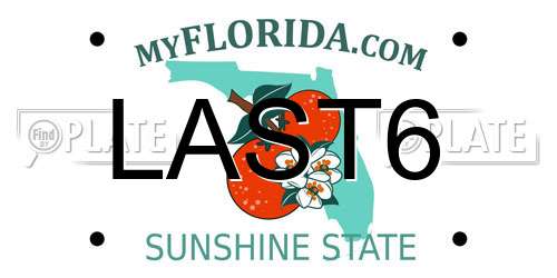 LAST6 Florida License Plate