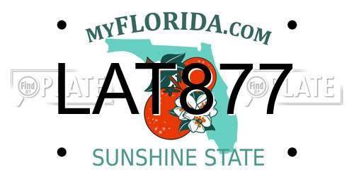 LAT877 Florida License Plate