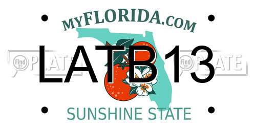 LATB13 Florida License Plate