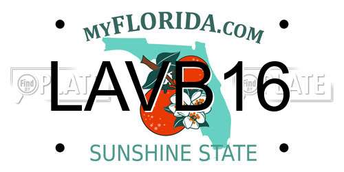LAVB16 Florida License Plate