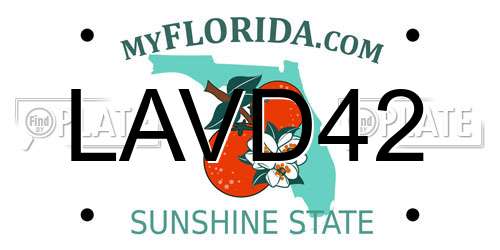 LAVD42 Florida License Plate