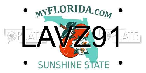 LAVZ91 Florida License Plate