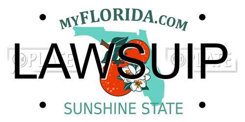 LAWSUIP Florida License Plate
